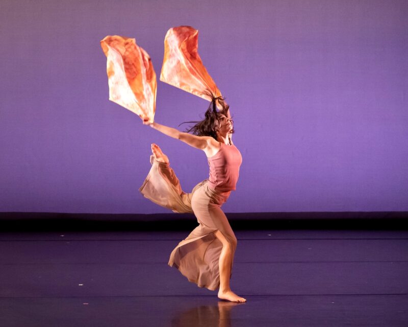 abby donnenfeld dancing with silks
